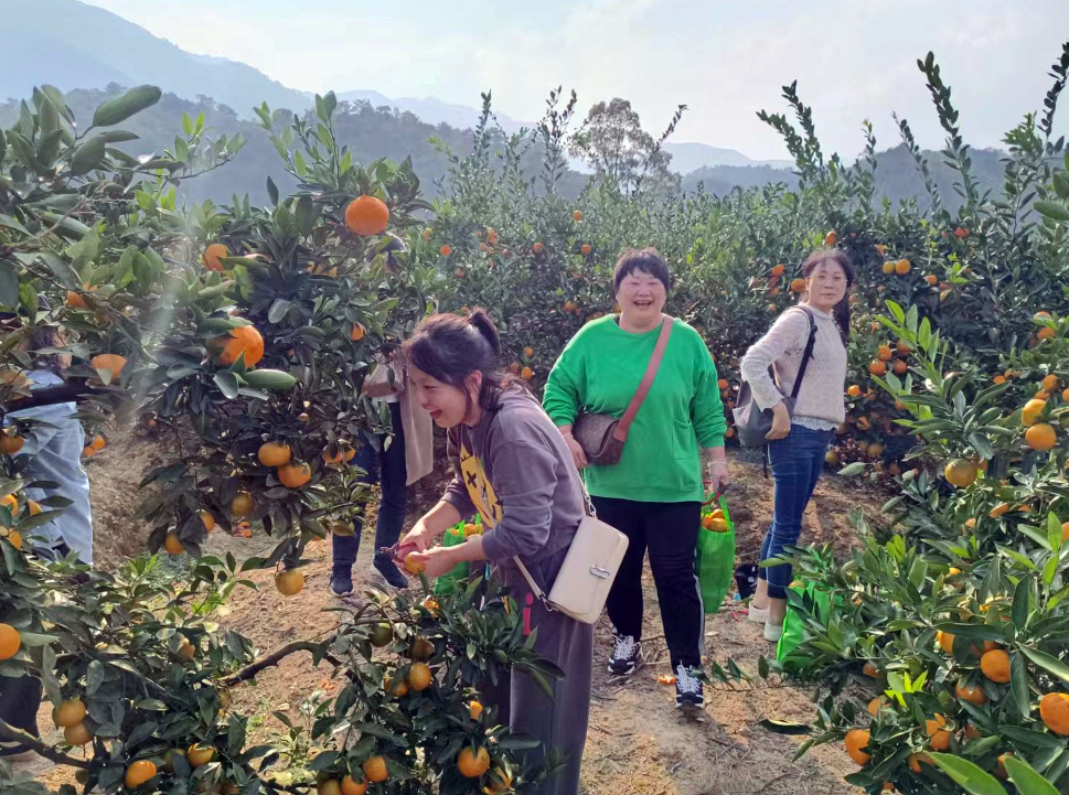 九江長(zhǎng)運(yùn)：客運(yùn)中心公司開(kāi)展戶外拓展團(tuán)建活動(dòng)